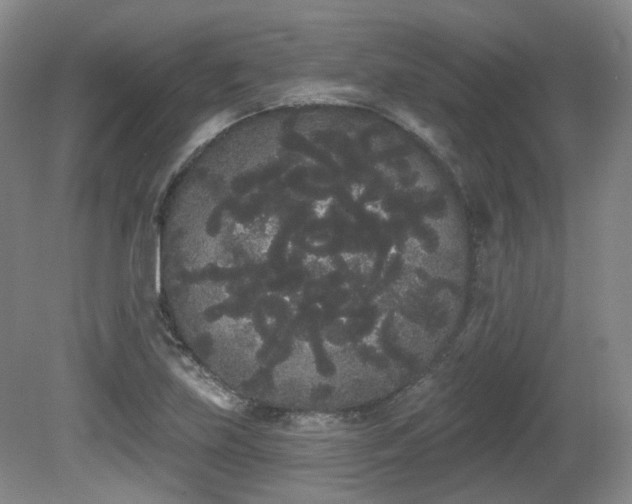 X0000080671219200612151148