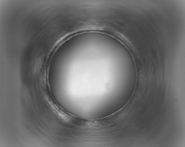 X0000080671220200612151148