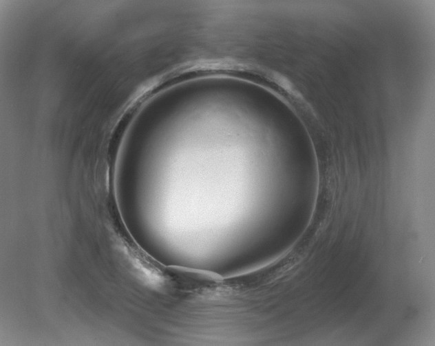 X0000080671221200612151148