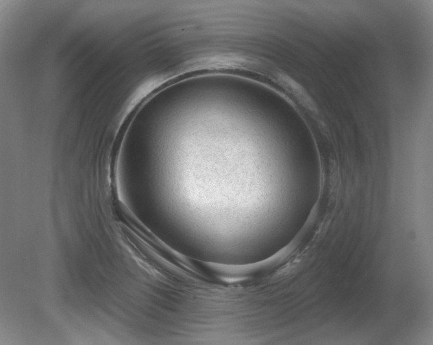 X0000080671226200612151148