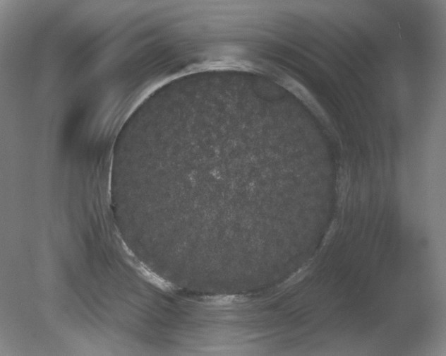 X0000080671228200612151148