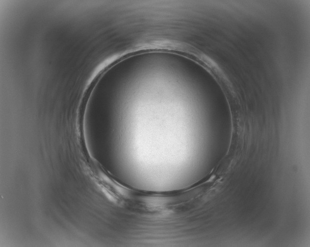 X0000080671230200612151148