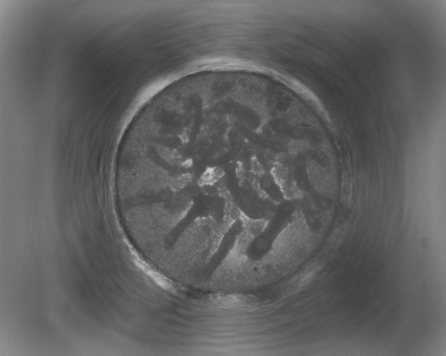 X0000080671231200612151148