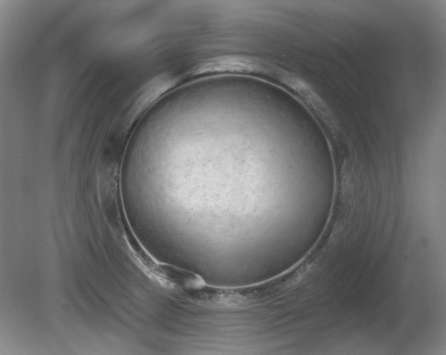 X0000080671233200612151148