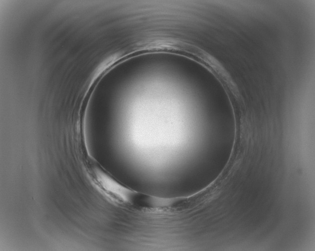 X0000080671234200612151148