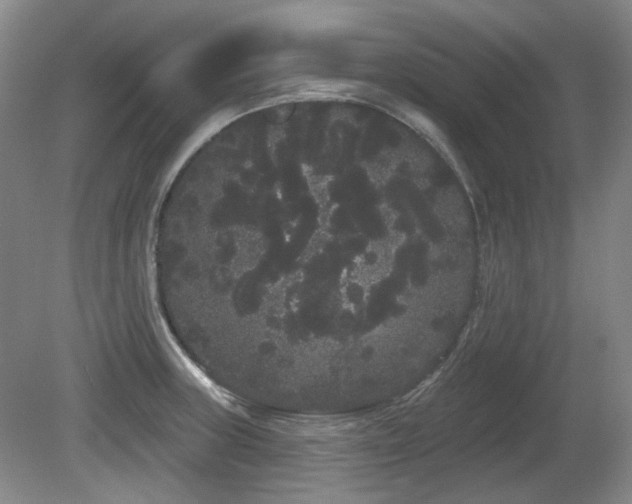 X0000080671235200612151148