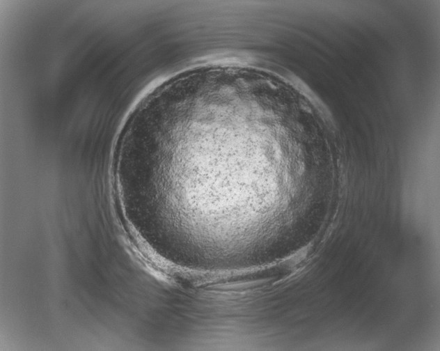 X0000080671240200612151148