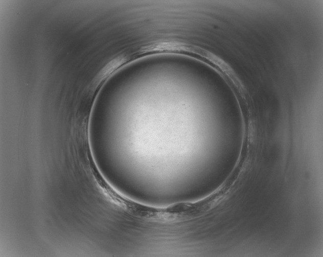X0000080671241200612151148