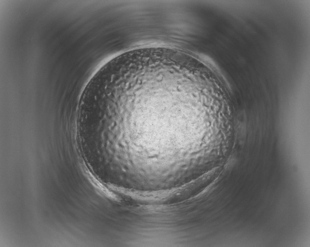 X0000080671244200612151149
