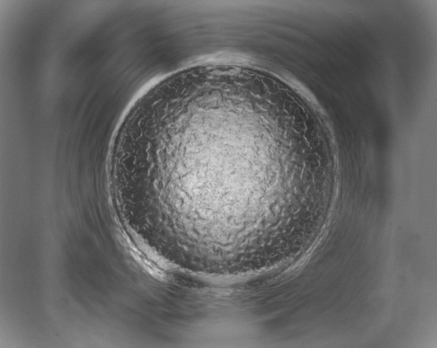 X0000080671248200612151149