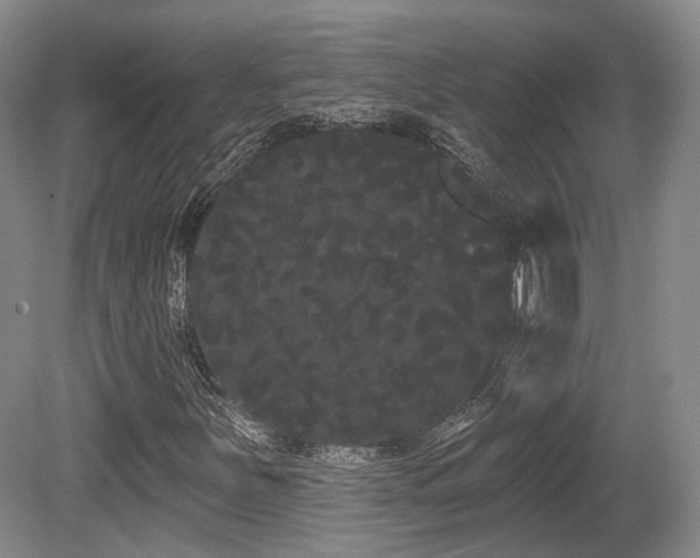 X0000080671251200612151148