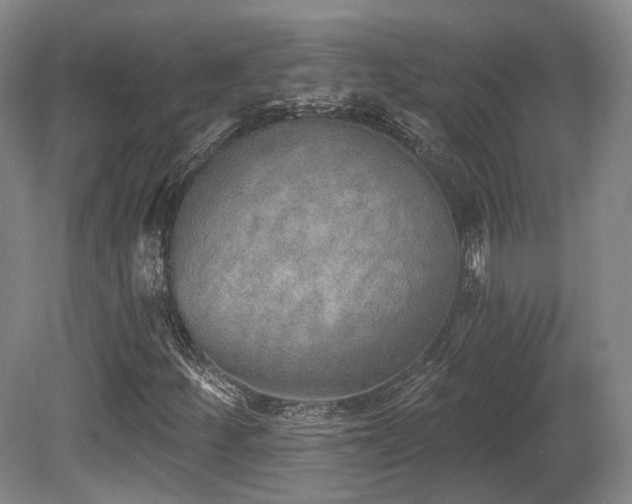 X0000080671252200612151148