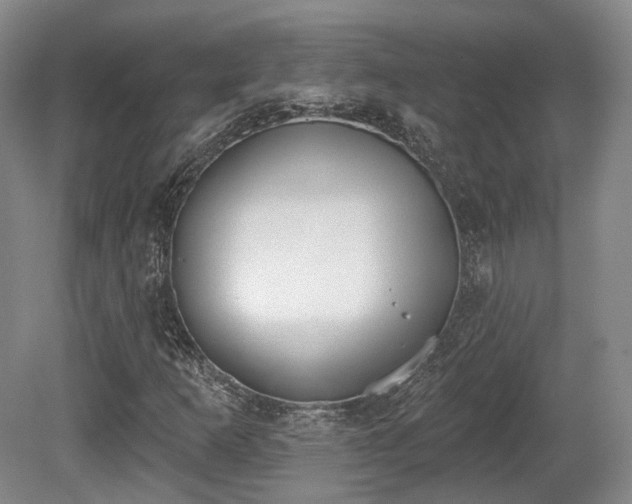 X0000080671253200612151148
