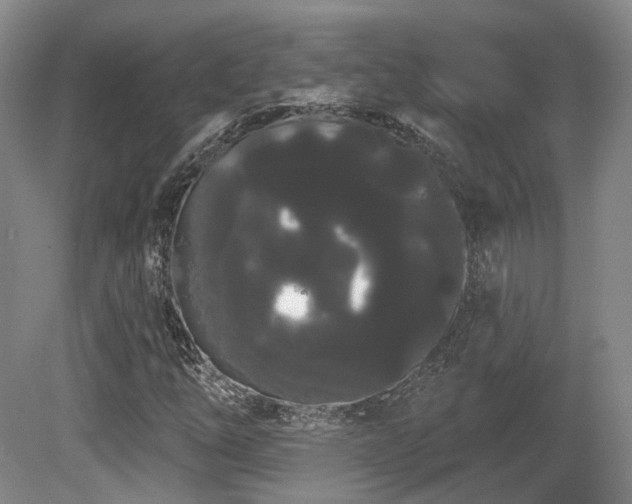 X0000080671254200612151148