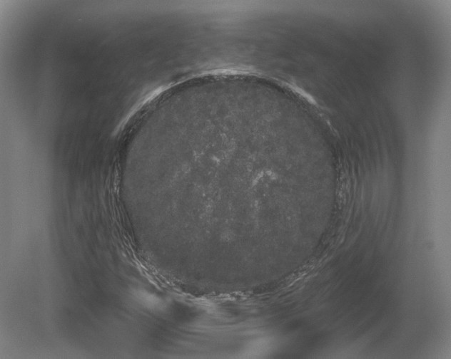 X0000080671255200612151148