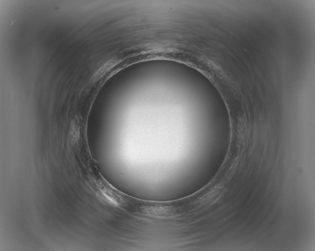 X0000080671257200612151148