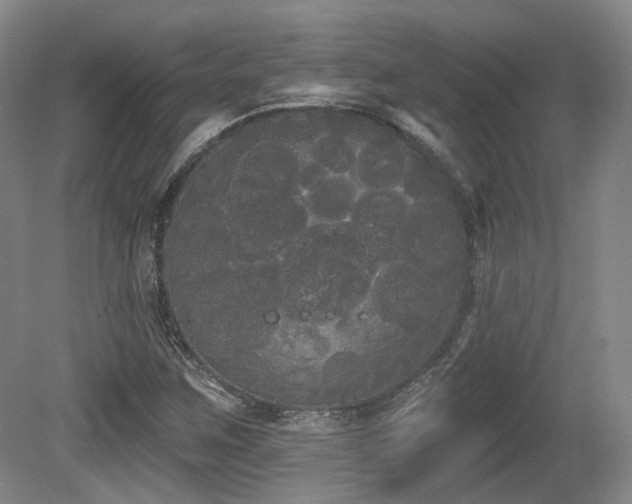X0000080671259200612151148