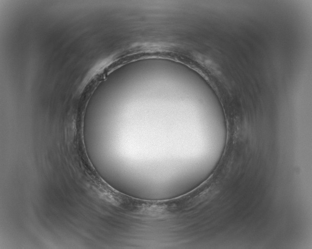 X0000080671261200612151148