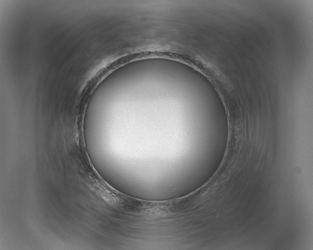 X0000080671262200612151148