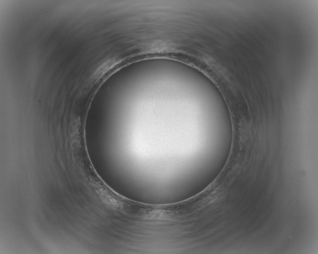 X0000080671265200612151148
