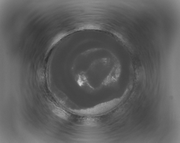 X0000080671266200612151147