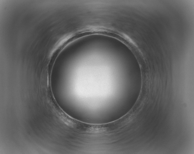 X0000080671269200612151147