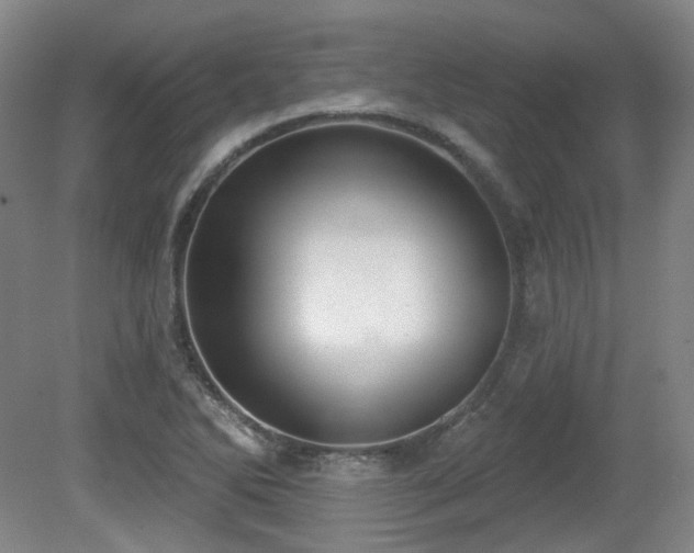 X0000080671270200612151147