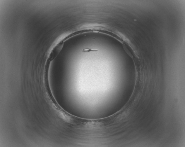 X0000080671277200612151147