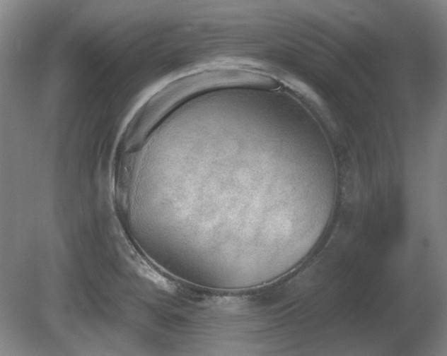 X0000080671280200612151147