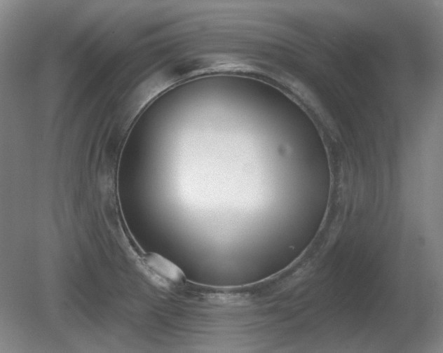 X0000080671281200612151147