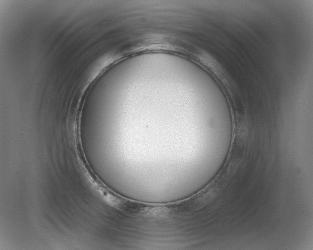 X0000080671282200612151147