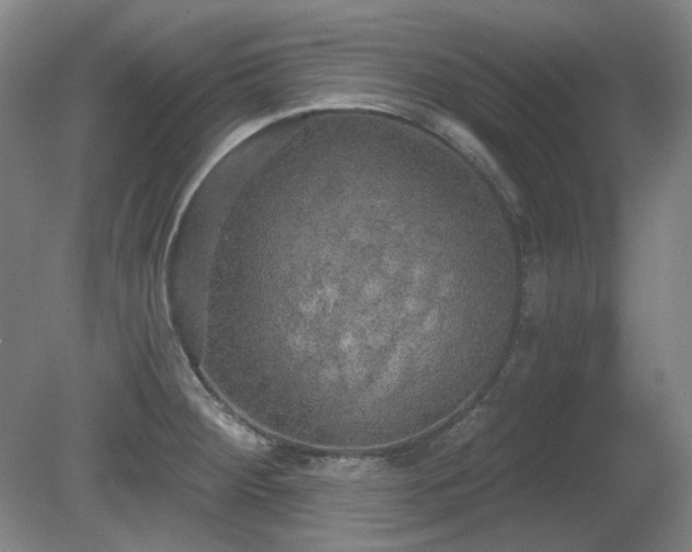 X0000080671284200612151147