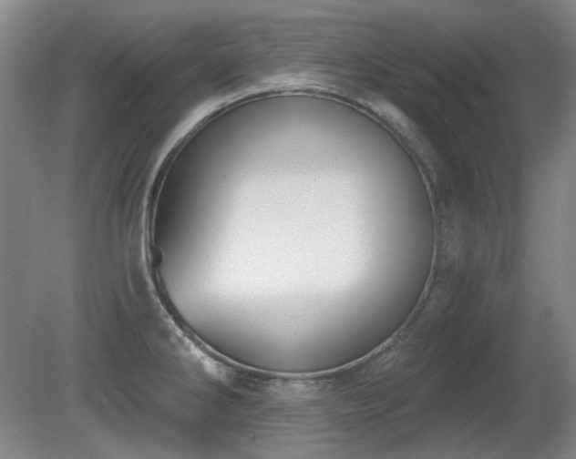 X0000080671286200612151147