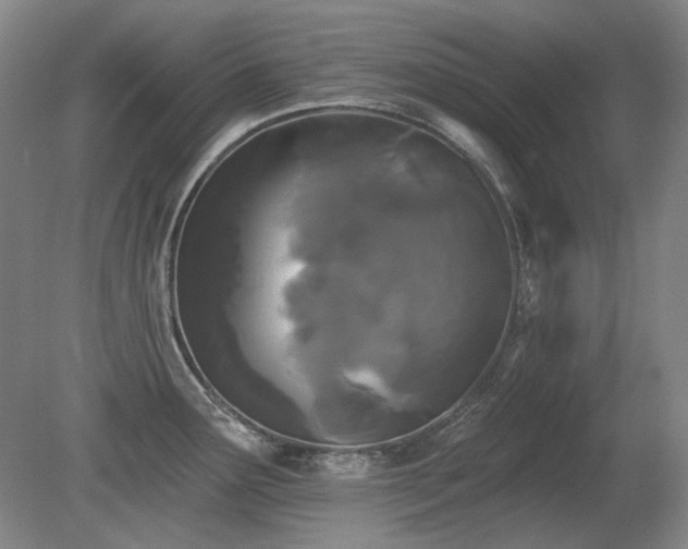 X0000080671291200612151147