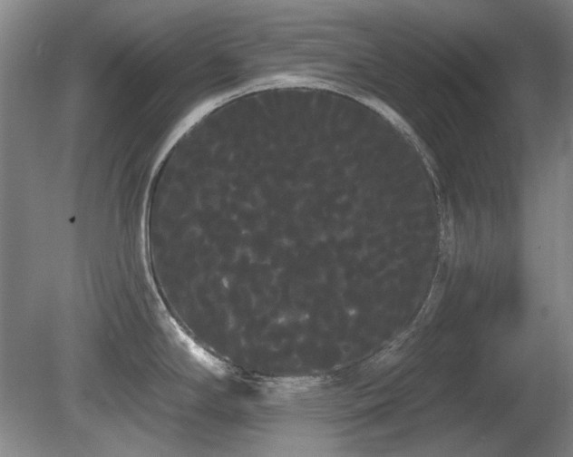 X0000080671294200612151147