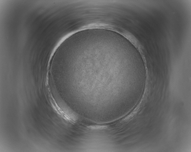 X0000080671296200612151147