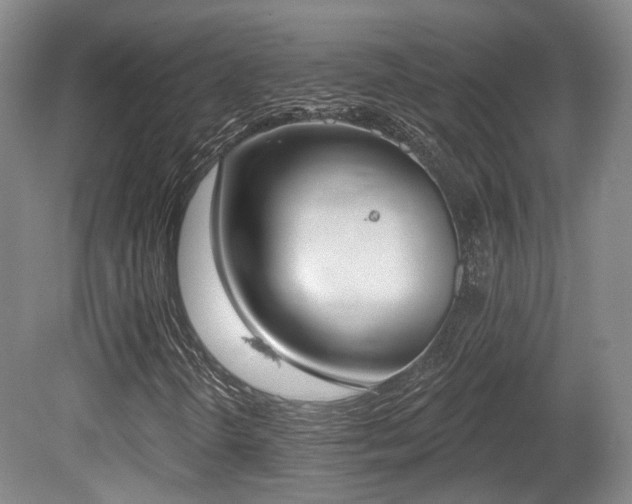 X0000080671298200612151146