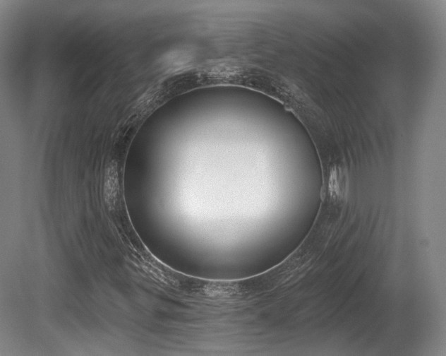 X0000080671299200612151146