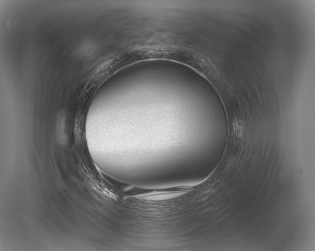 X0000080671300200612151146