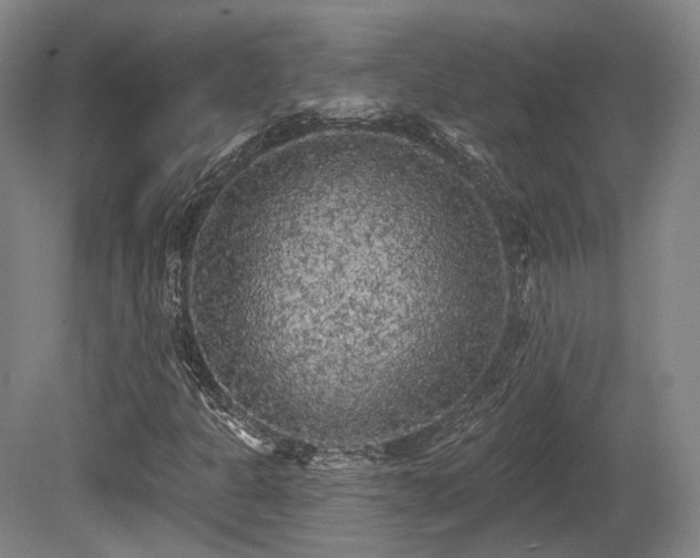 X0000080671301200612151146