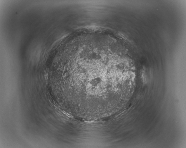 X0000080671302200612151146