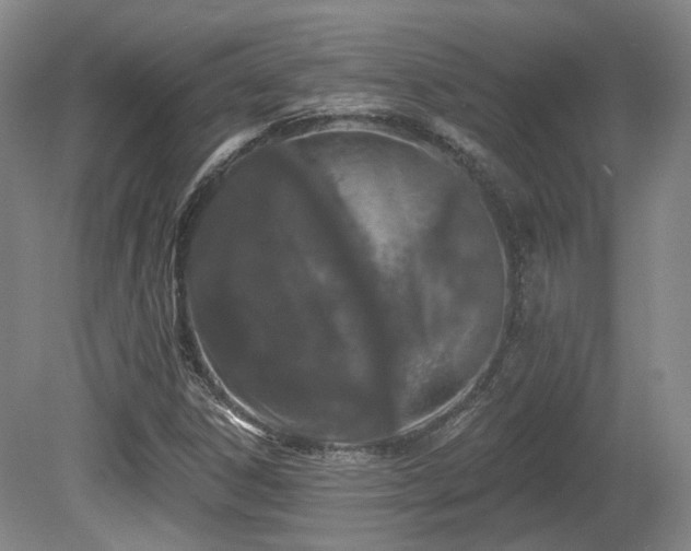 X0000080671306200612151146