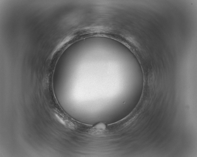 X0000080671309200612151146