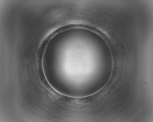 X0000080671311200612151146