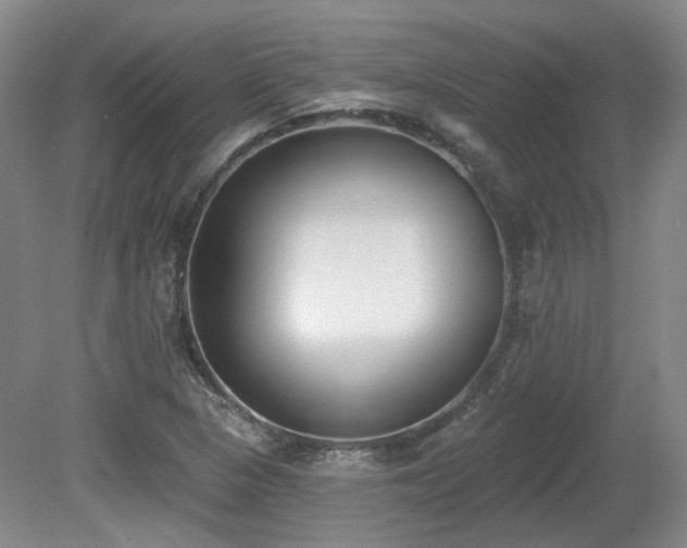 X0000080671313200612151146