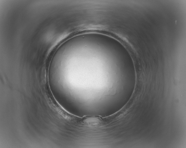 X0000080671317200612151147