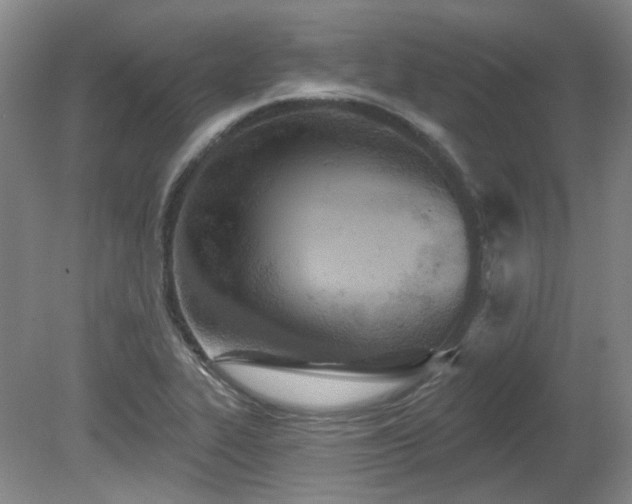 X0000080671319200612151147