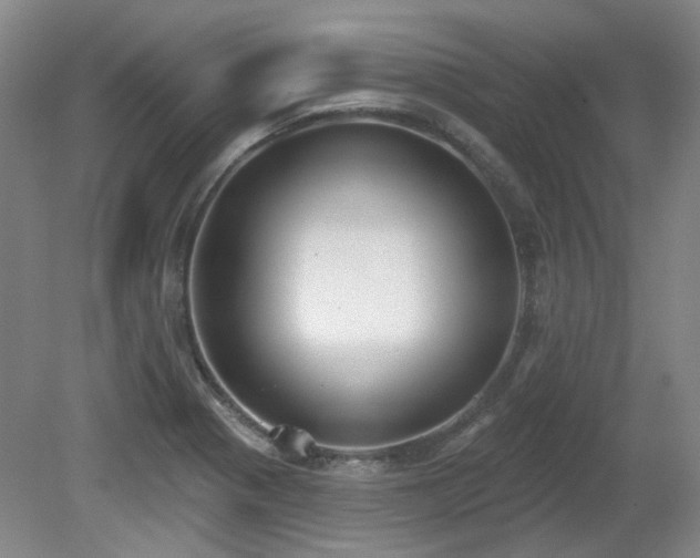 X0000080671321200612151147