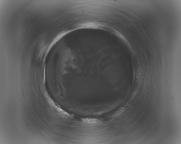 X0000080671323200612151147
