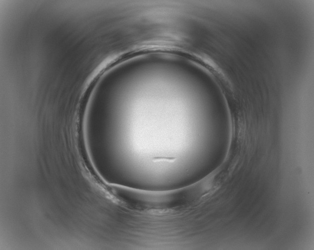 X0000080671325200612151147